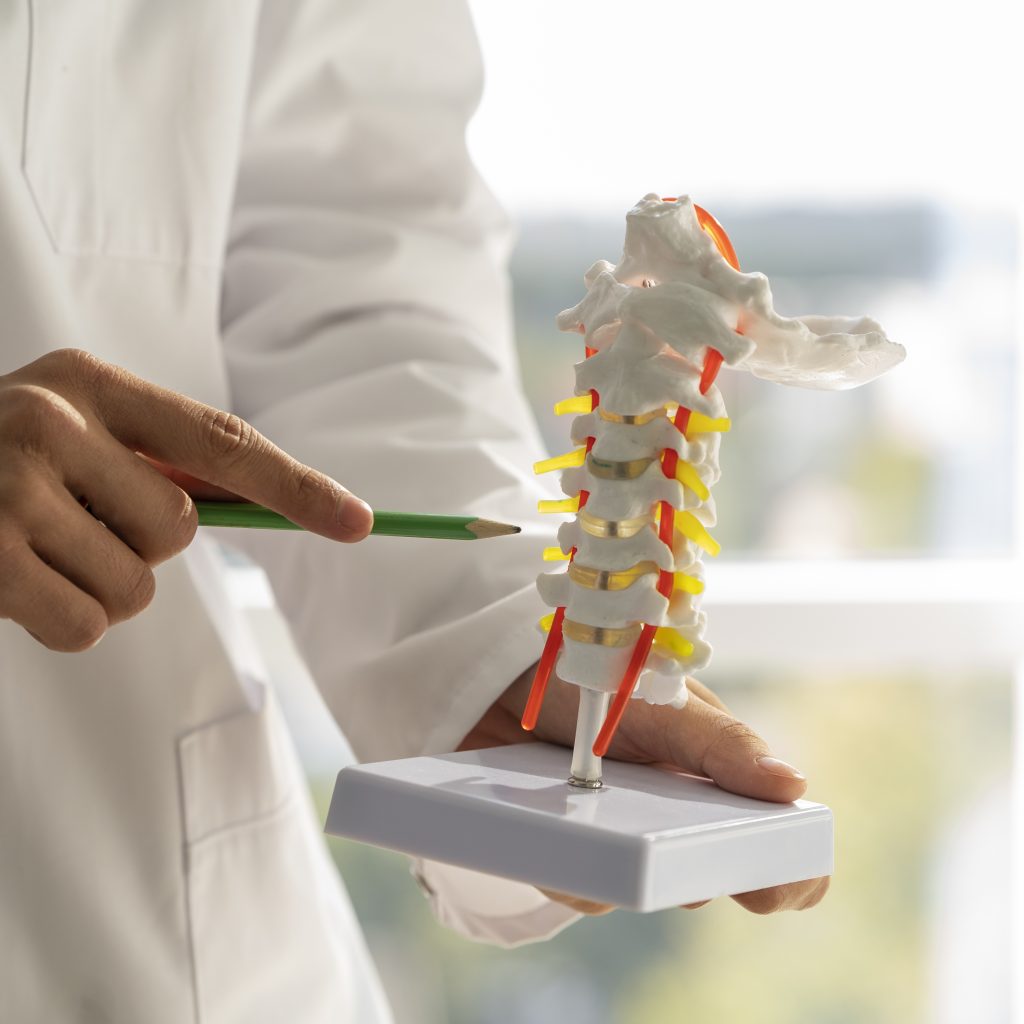 Explicación artrodesis vertebral